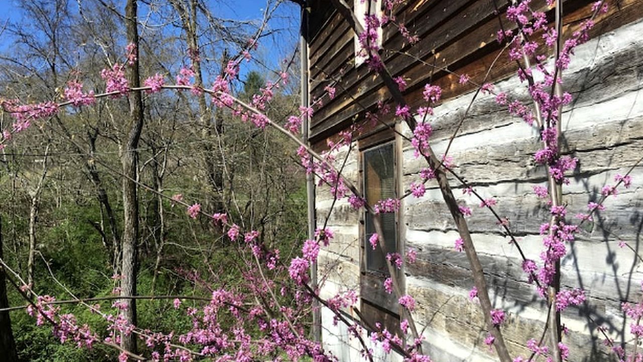 Photo of Outdoor in Townsend