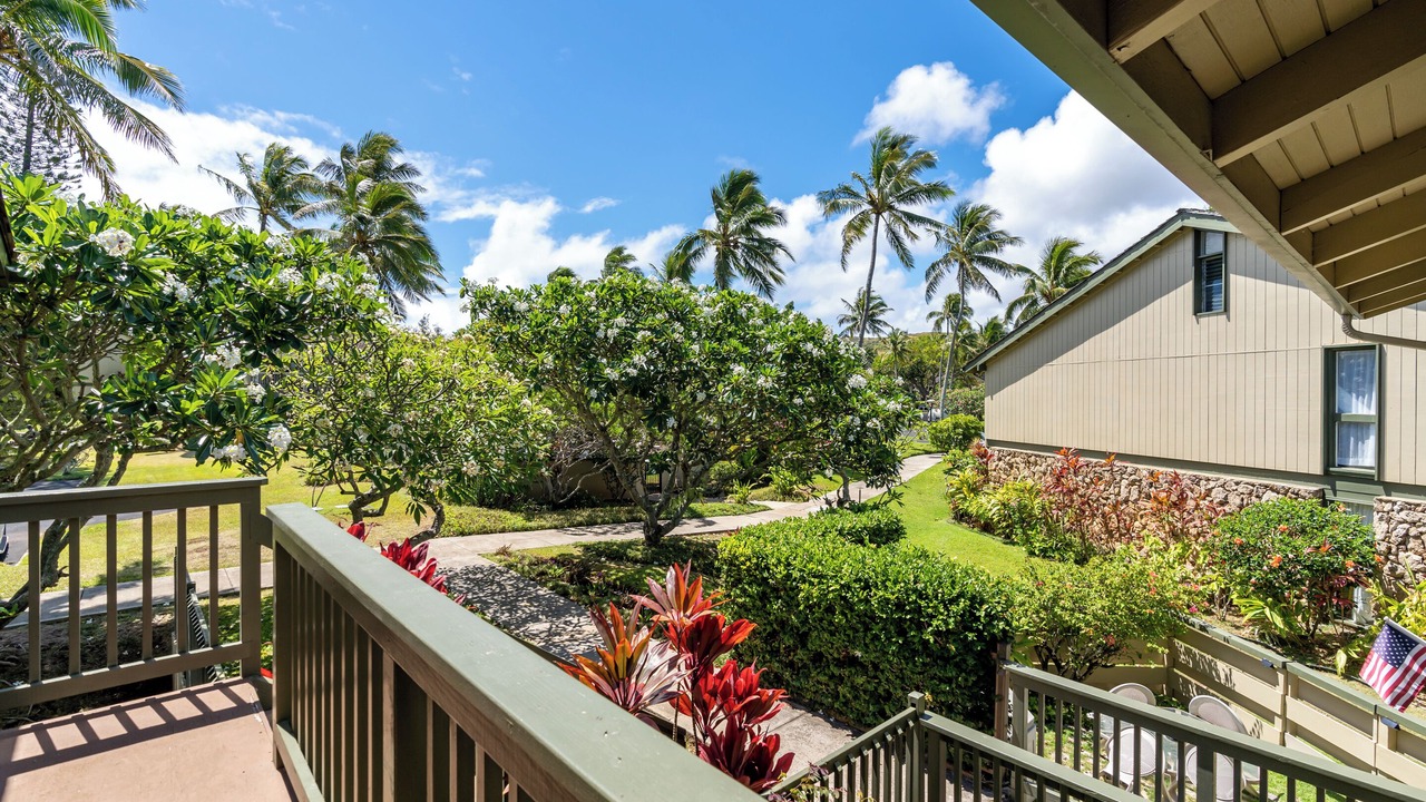 Photo of Outdoor in Kahuku