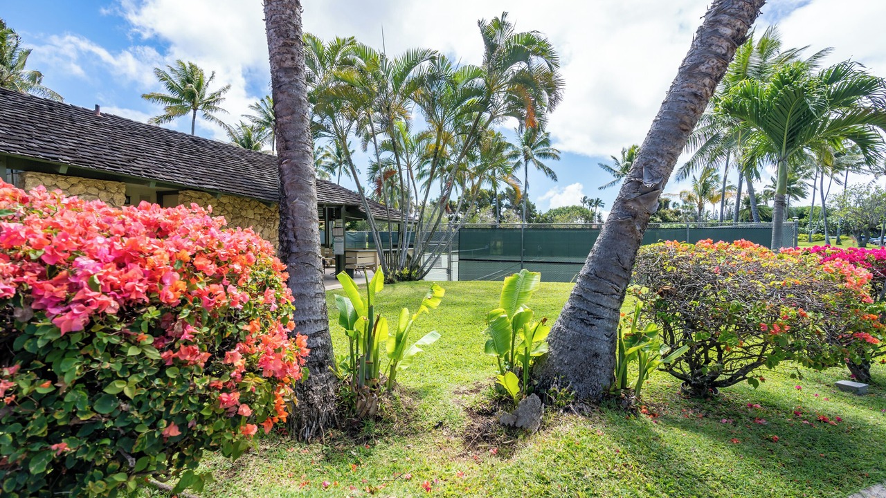 Photo of Outdoor in Kahuku