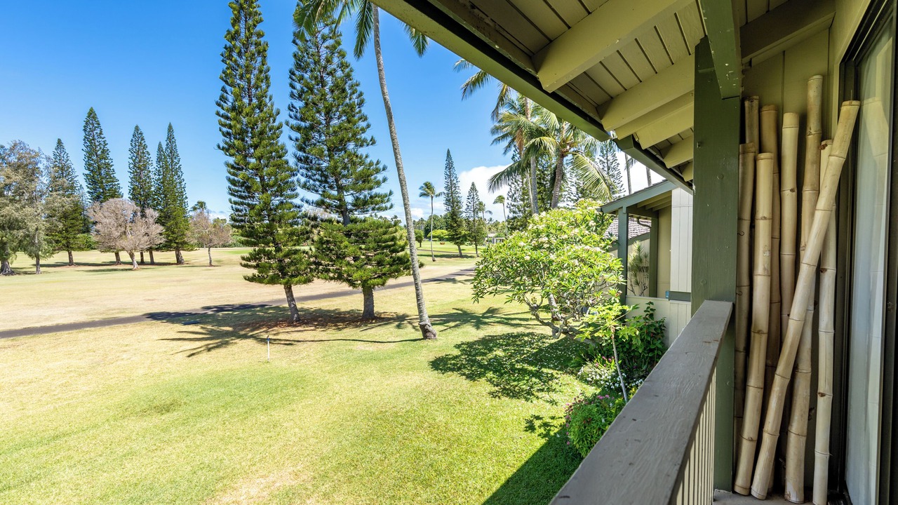 Photo of Outdoor in Kahuku