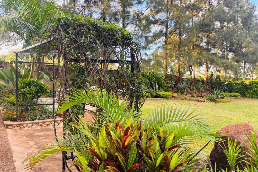 Photo of Outdoor in Kwekwe