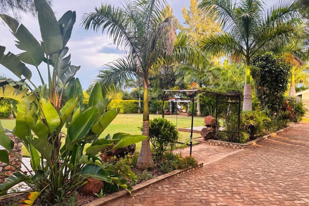 Photo of Outdoor in Kwekwe