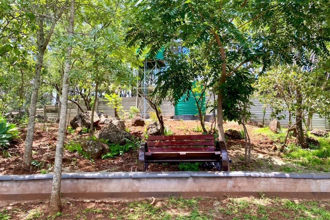 Photo of Outdoor in Harare East
