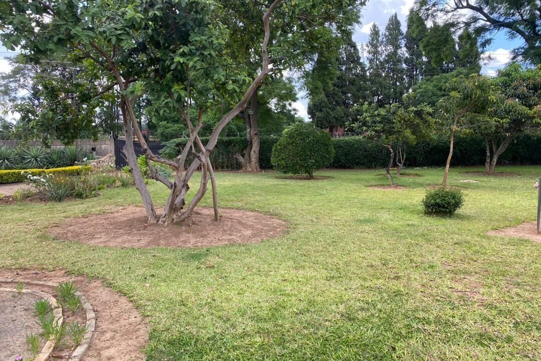 Photo of Outdoor in Greendale