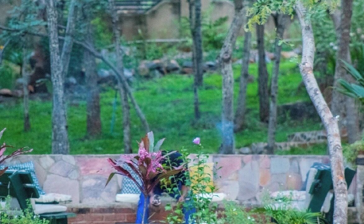 Photo of Outdoor in Darwendale