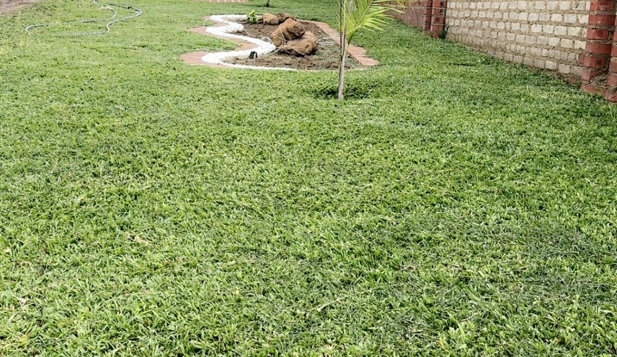 Photo of Outdoor in Marondera