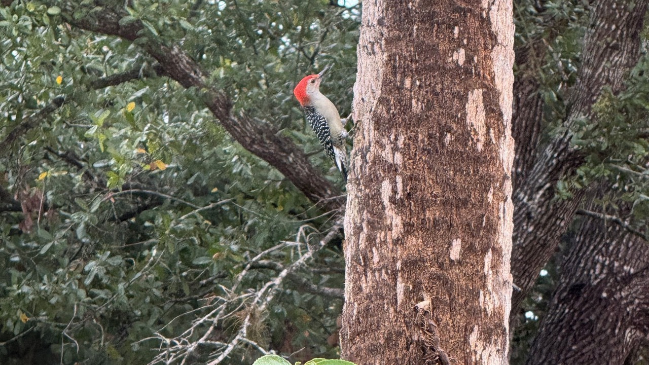 Photo of Others in Park East