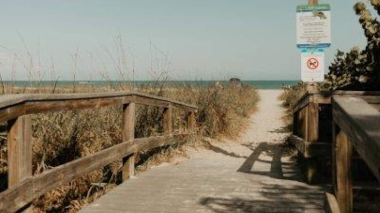 Photo of Others in Port Canaveral