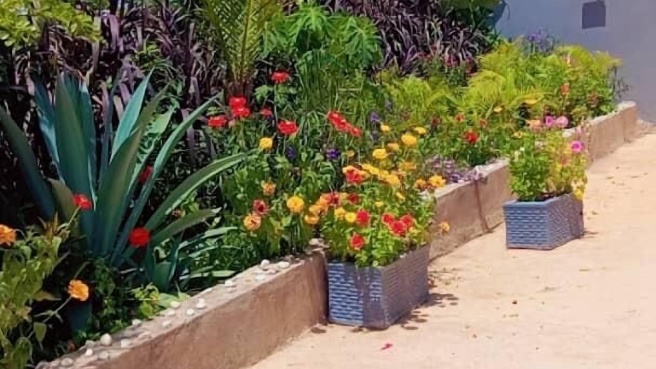 Photo of Outdoor in Kwekwe