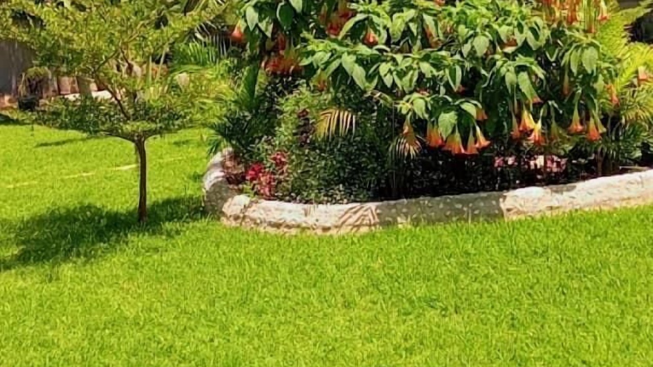 Photo of Outdoor in Kwekwe