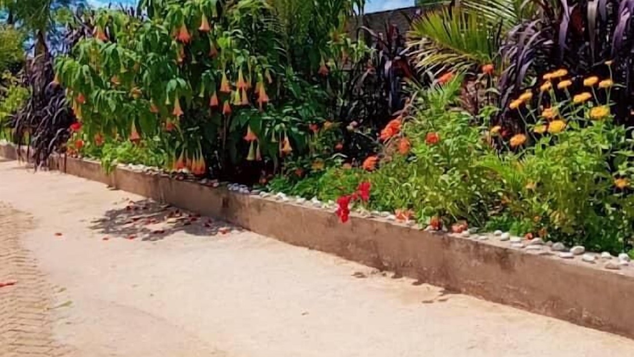 Photo of Outdoor in Kwekwe
