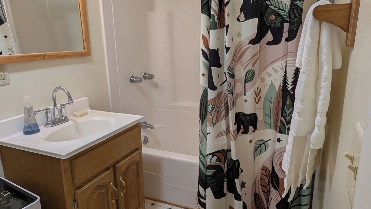 Photo of Bathroom in Moretown