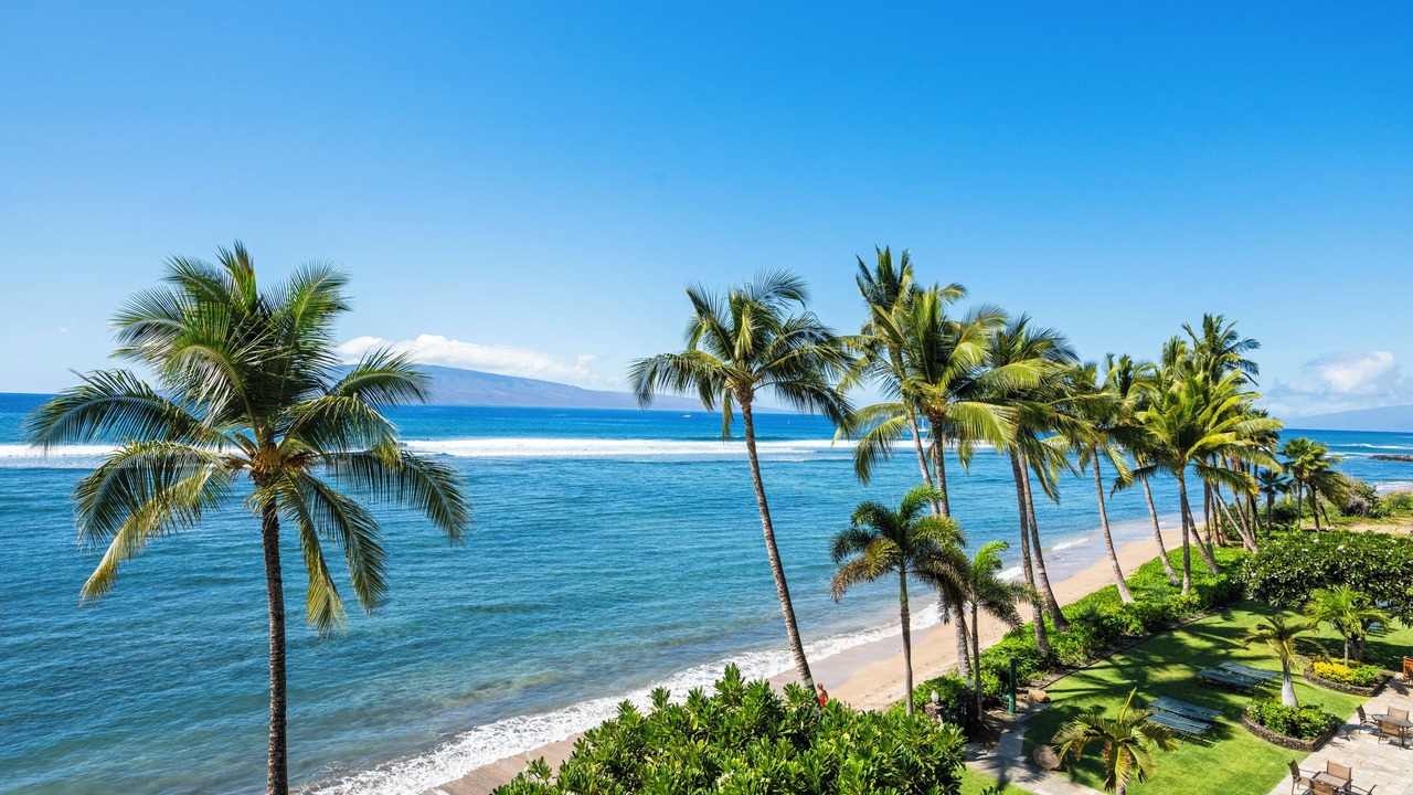 Photo of Others in Historic Lahaina Front Street