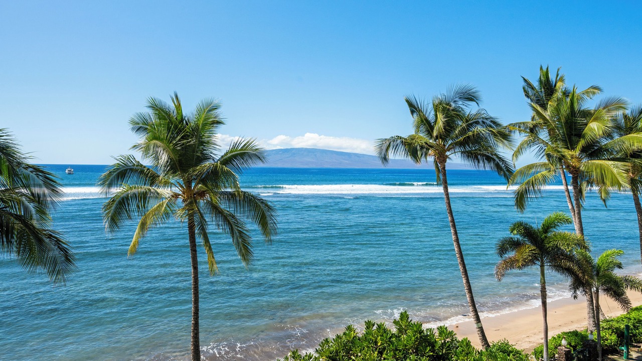 Photo of Others in Historic Lahaina Front Street