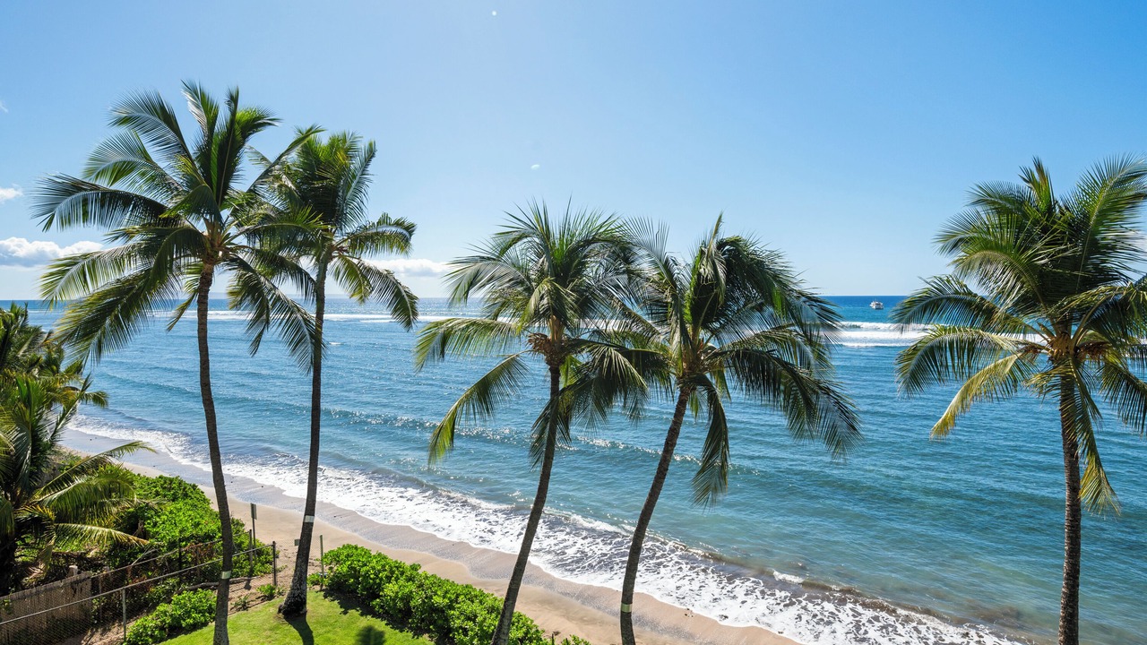 Photo of Others in Historic Lahaina Front Street