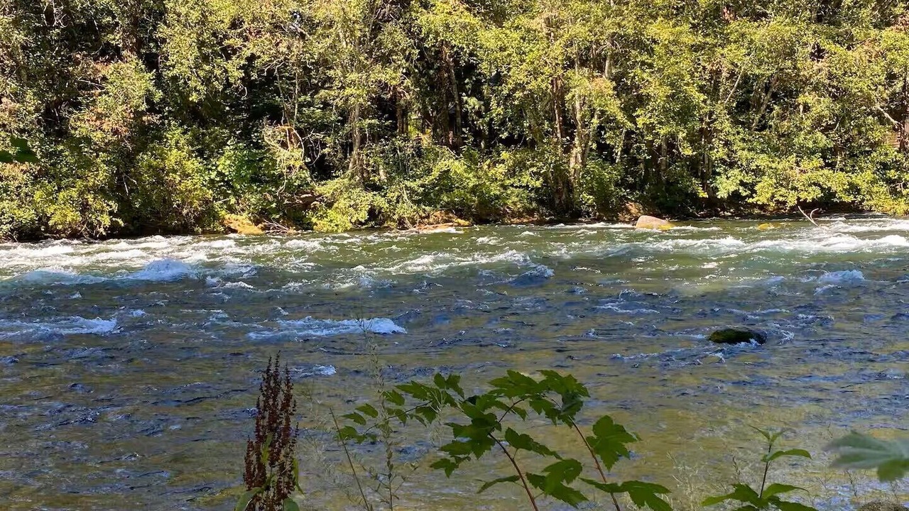 Photo of Others in McKenzie Bridge