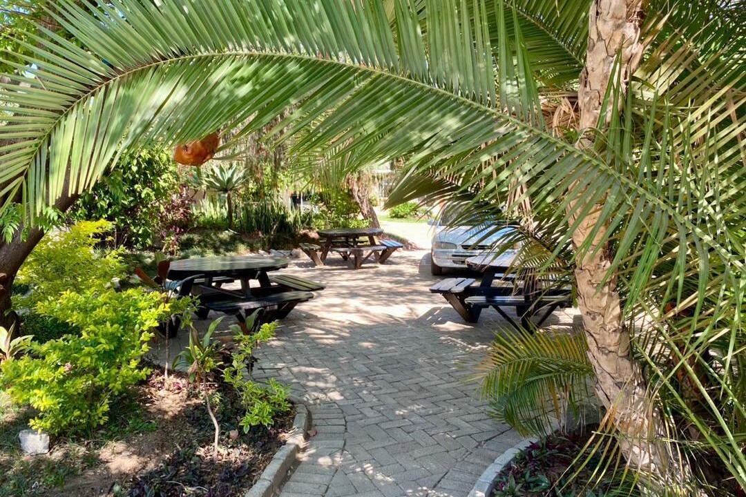 Photo of Outdoor in Harare
