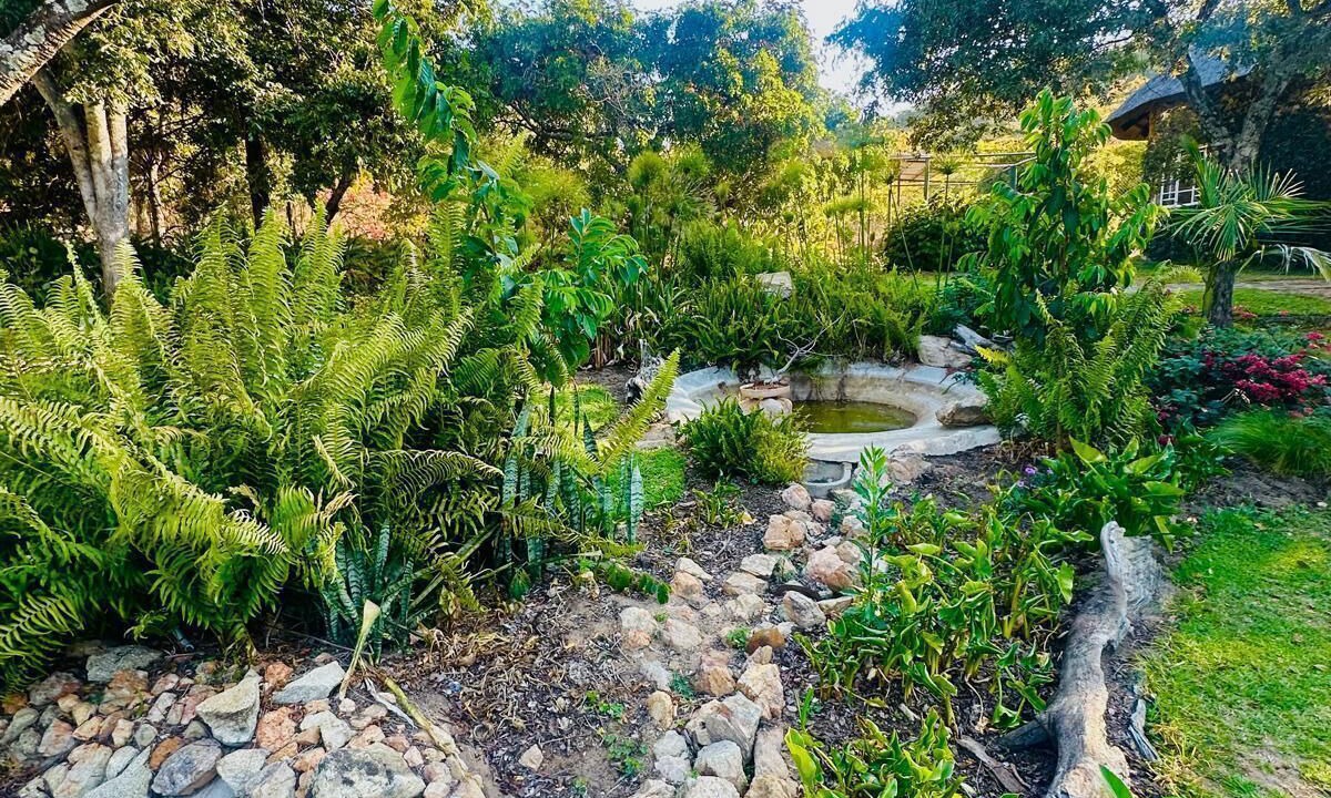 Photo of Outdoor in Juliasdale