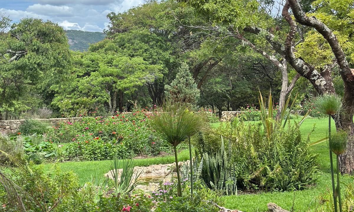 Photo of Outdoor in Juliasdale
