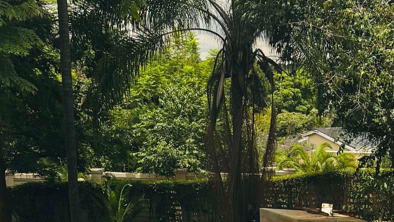 Photo of Outdoor in Harare East
