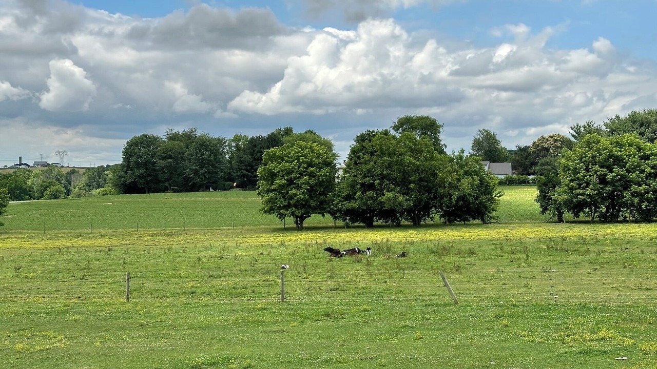 Photo of Others in Quarryville
