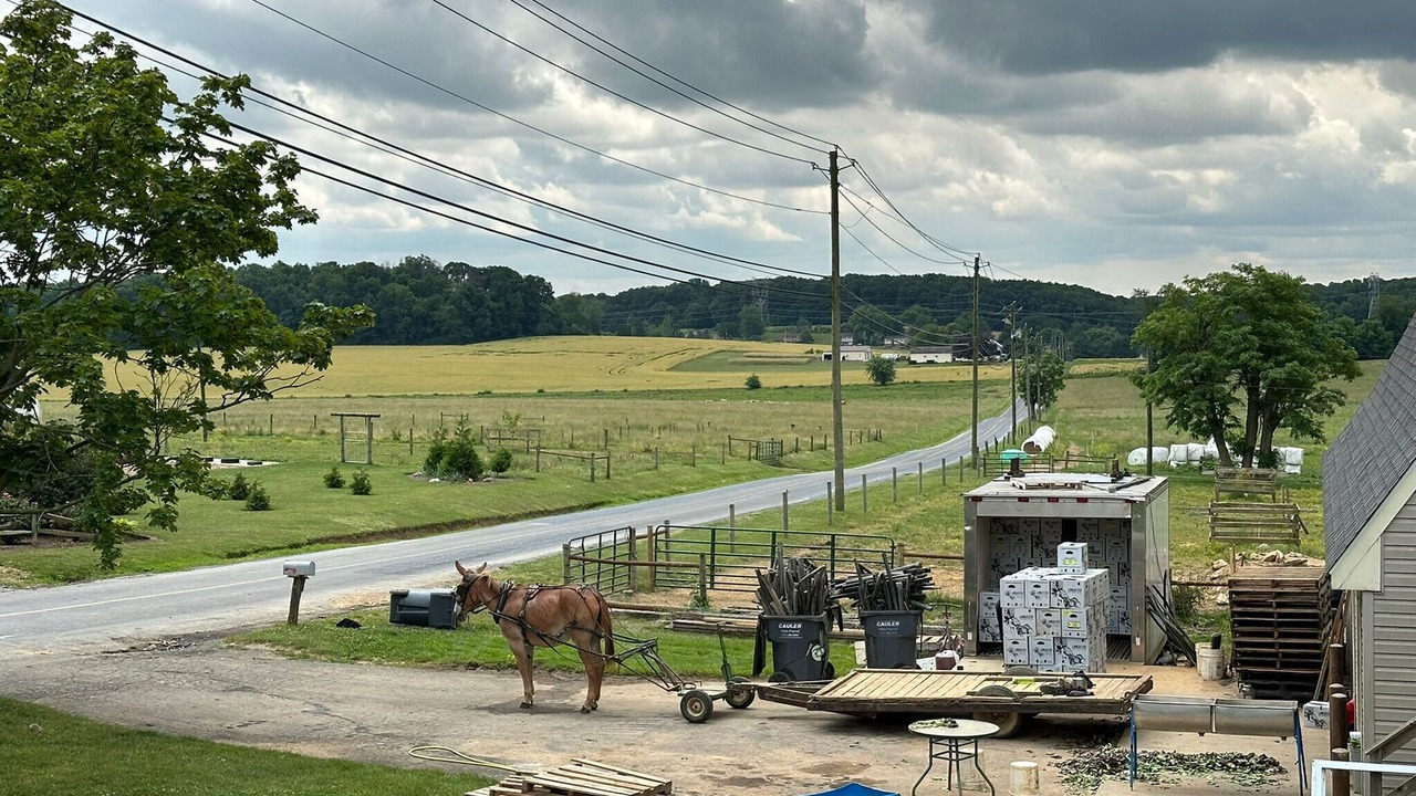 Photo of Others in Quarryville