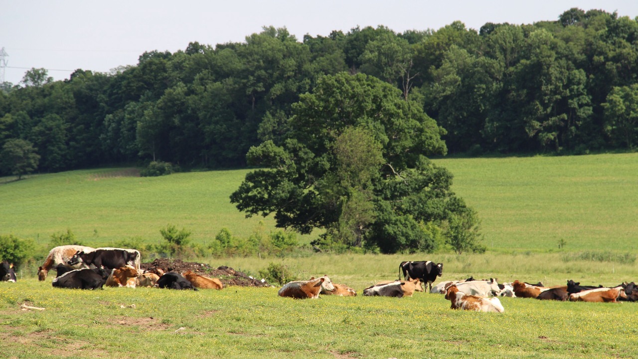 Photo of Others in Quarryville