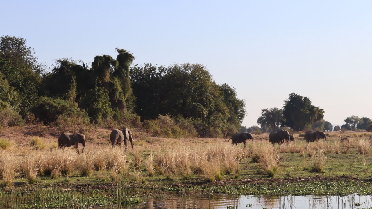 Photo of Others in Chirundu