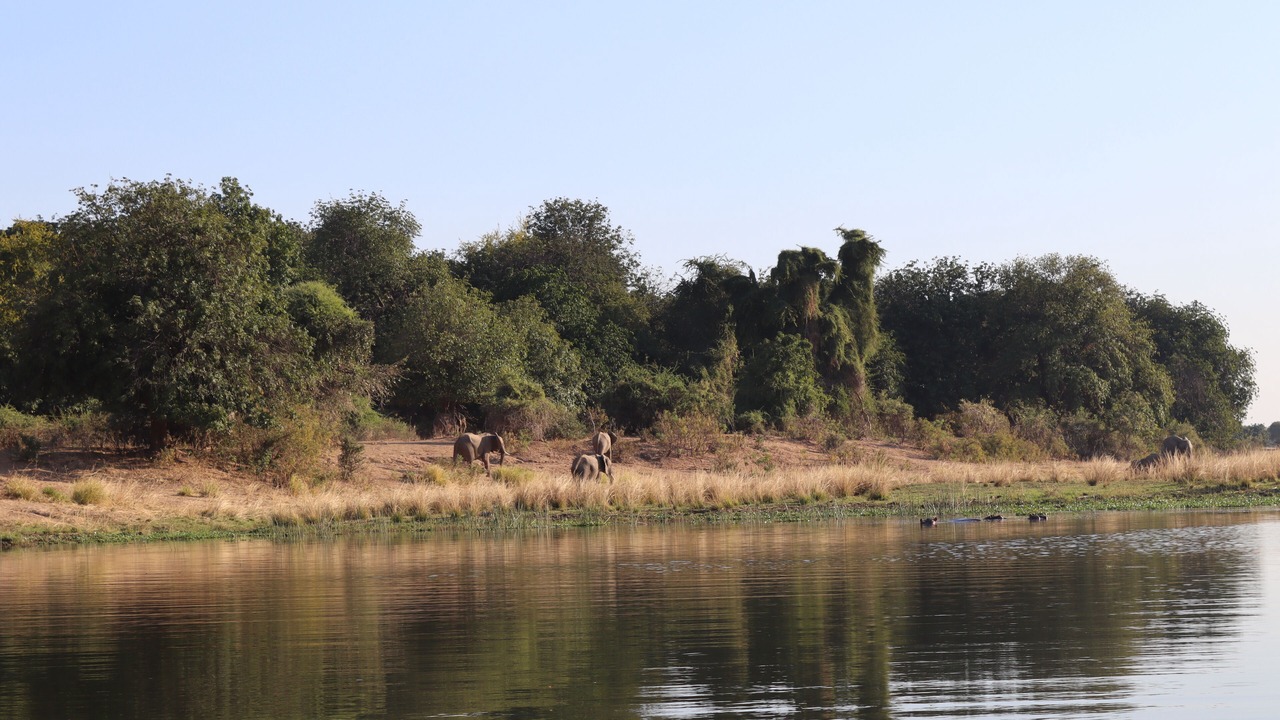 Photo of Others in Chirundu