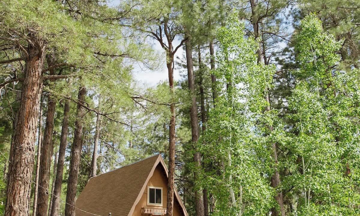 Photo of Outdoor in Kachina Village