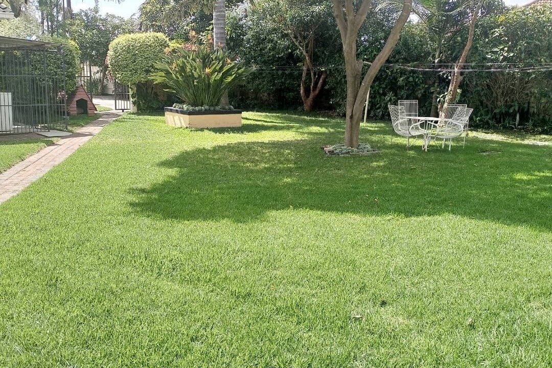 Photo of Outdoor in Harare