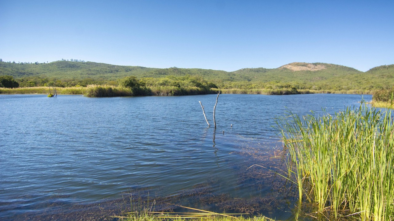 Photo of Others in Nyanga