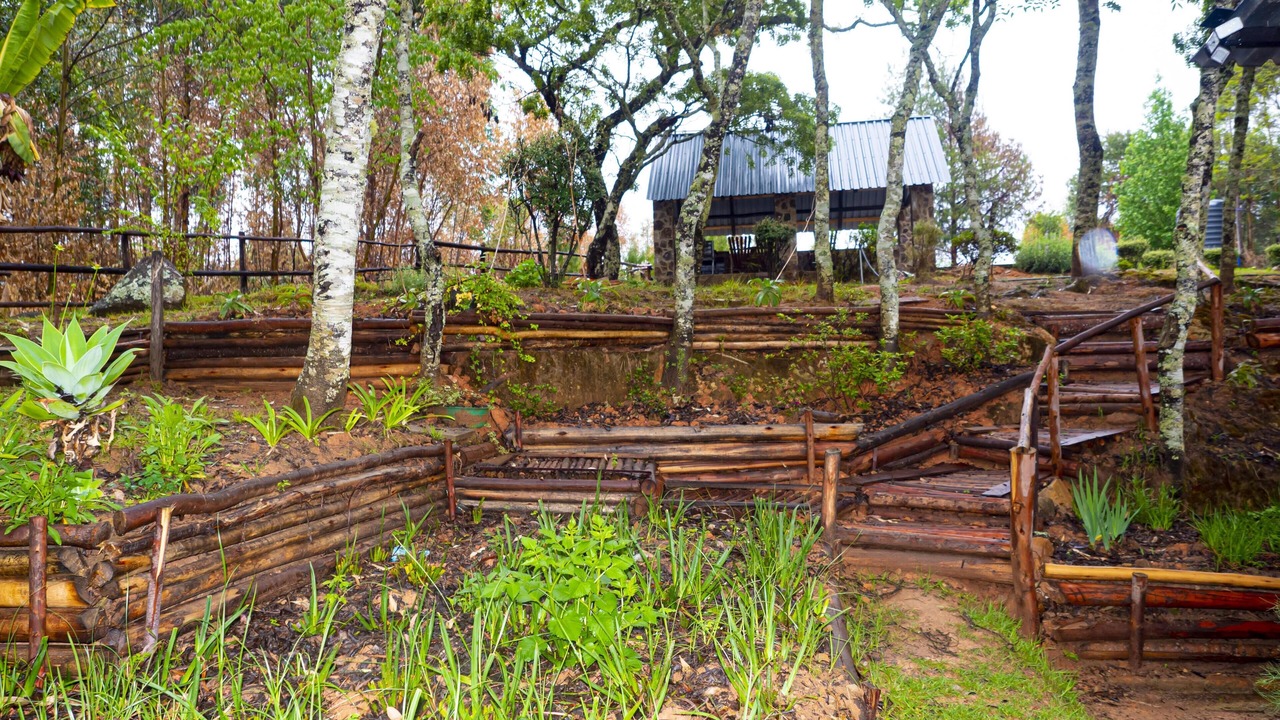 Photo of Outdoor in Zimbabwe