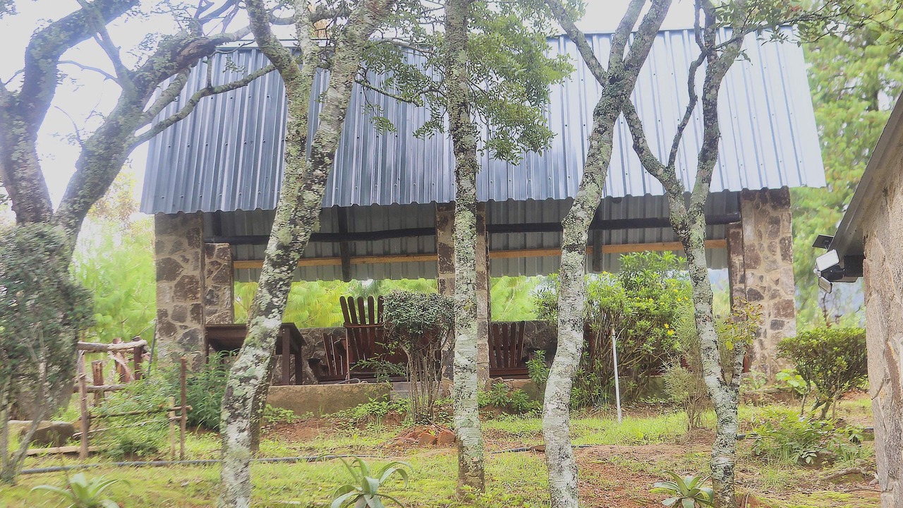 Photo of Outdoor in Nyanga