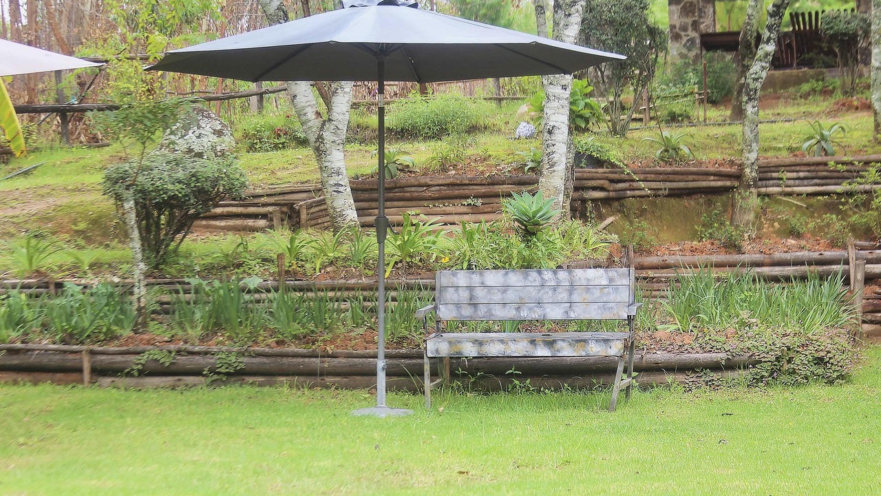 Photo of Outdoor in Zimbabwe