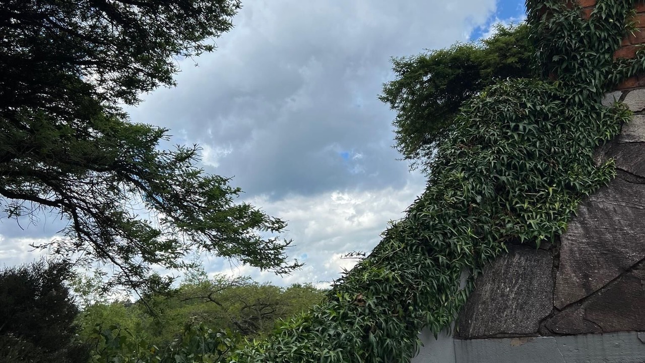 Photo of Outdoor in Juliasdale