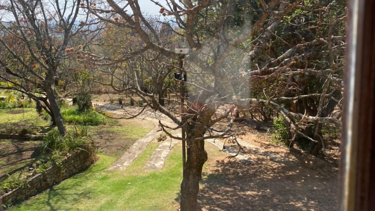 Photo of Outdoor in Juliasdale