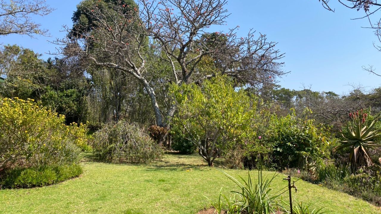 Photo of Outdoor in Juliasdale
