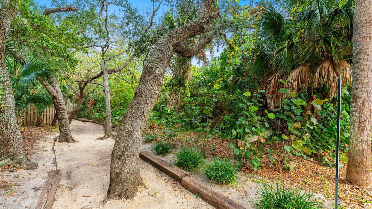 Photo of Others in Ocean Woods
