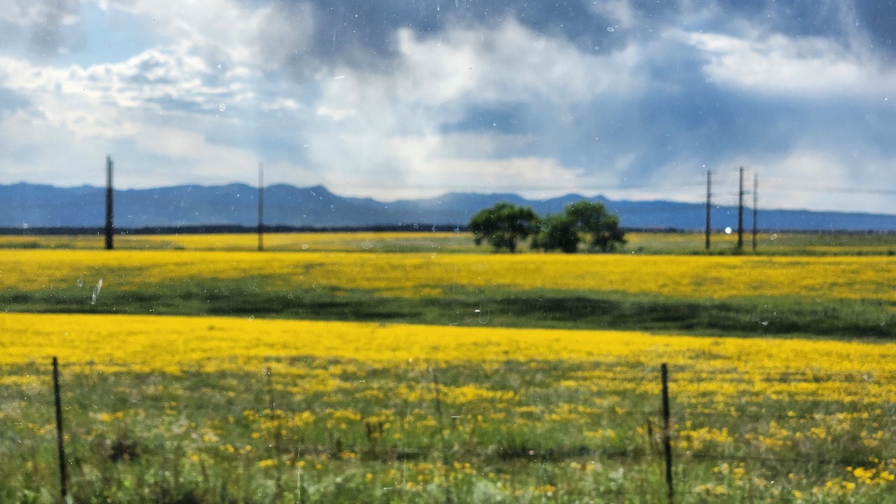 Photo of Others in Central Colorado Springs