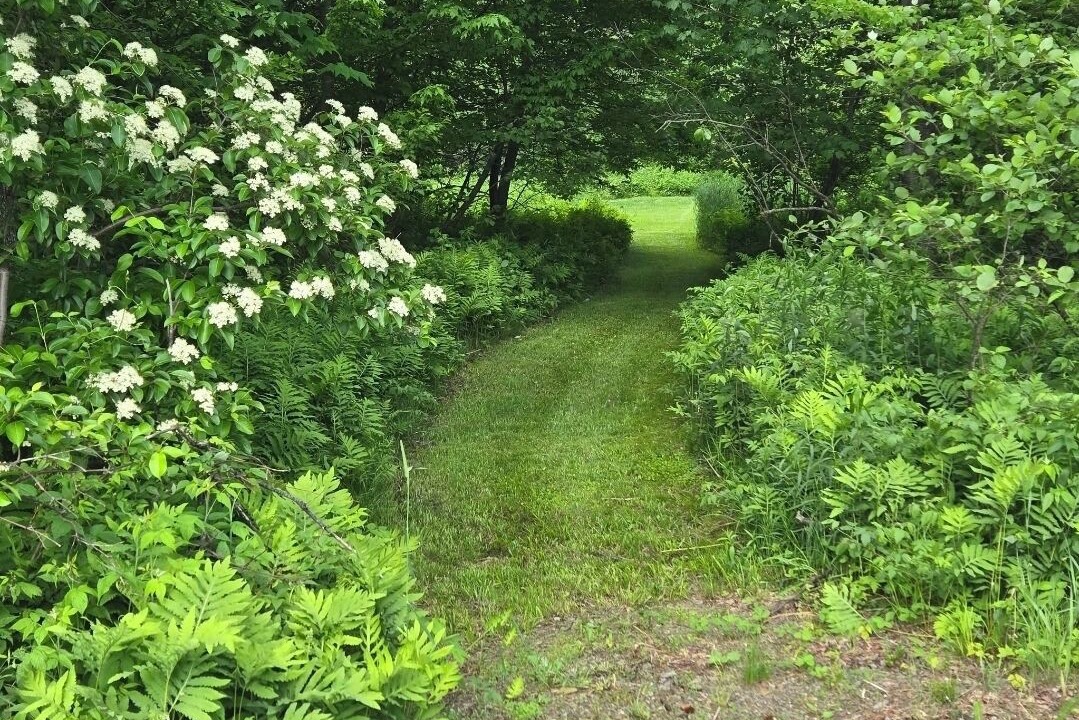 Photo of Outdoor in Stratton