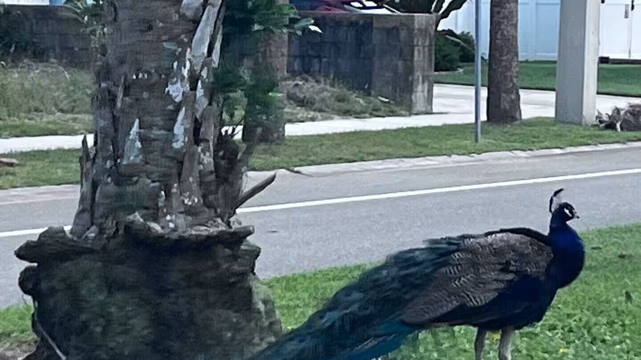 Photo of Outdoor in Tyler Gardens