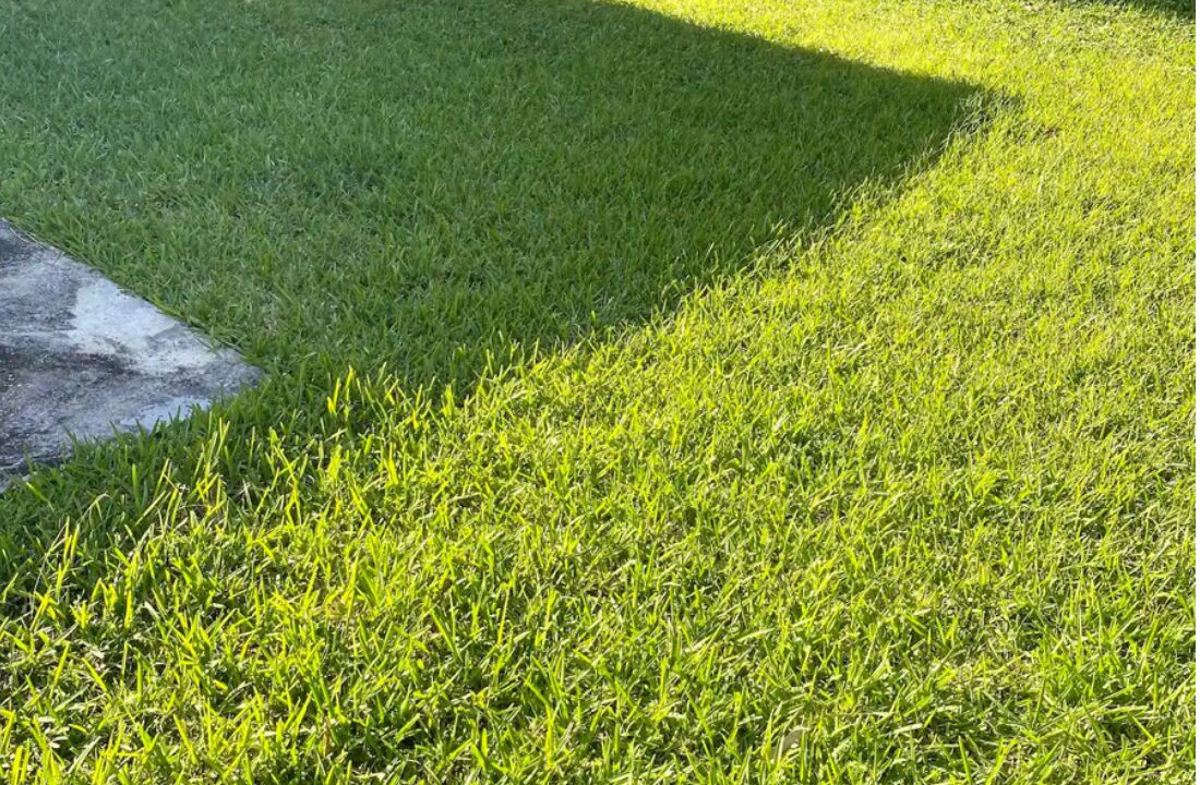 Photo of Outdoor in Cocoa West