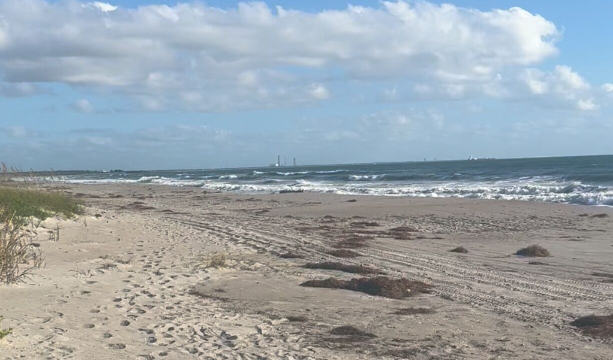 Photo of Others in Beach Park Village