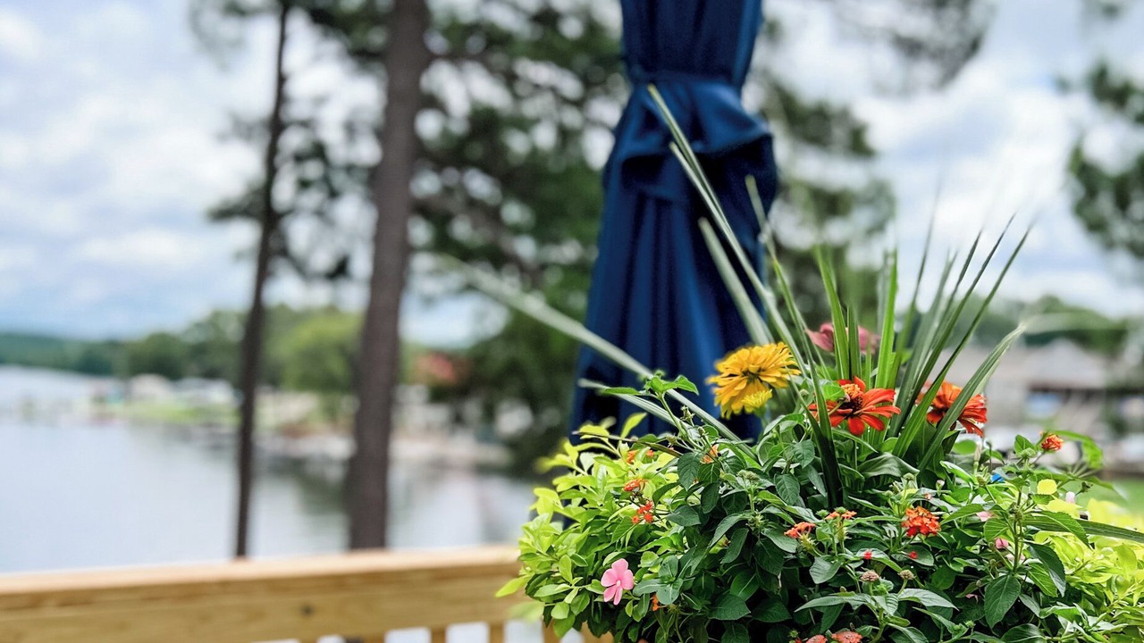 Photo of Outdoor in Eatonton