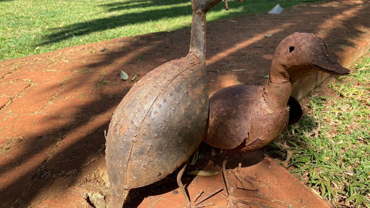 Photo of Outdoor in Harare East