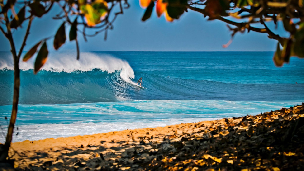 Photo of Others in Waikiki