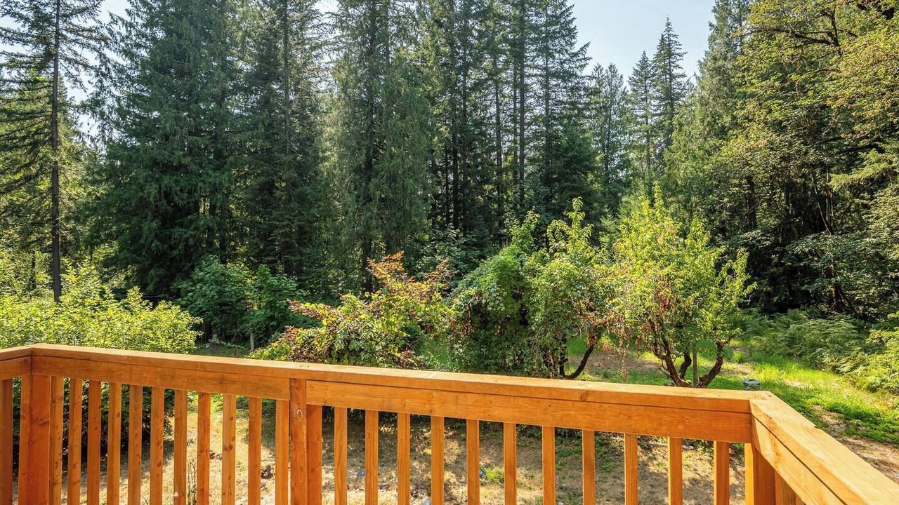 Photo of Outdoor in McKenzie Bridge