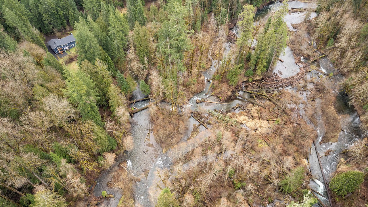 Photo of Outdoor in McKenzie Bridge