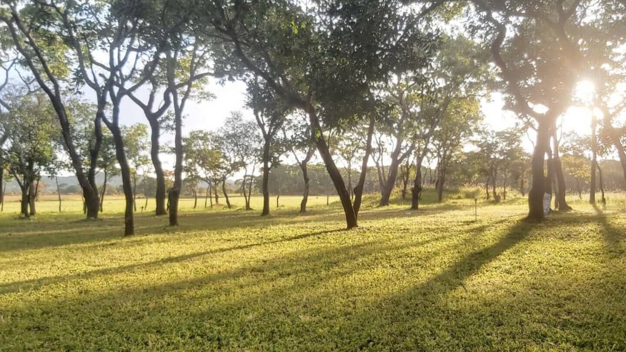 Photo of Others in Zambia